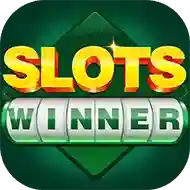 Image for SLOTS WINNER 