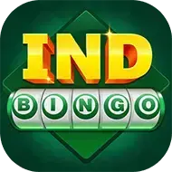 Image for IND BINGO