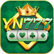 Image for YN 777